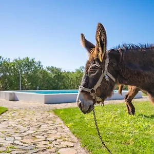 burro-ville.hotelaalgarve.com/